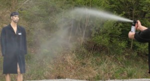 What the fogger spray pattern looks like